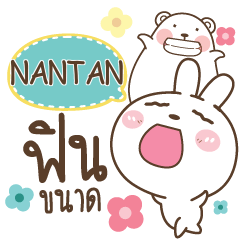 NANTAN Bear and Rabbit joker_N e