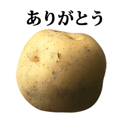 jyagaimo potato 2