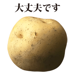 jyagaimo potato 4