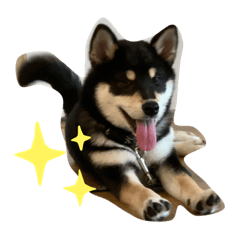 akiko_20190803213046