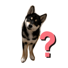 akiko_20190803212533