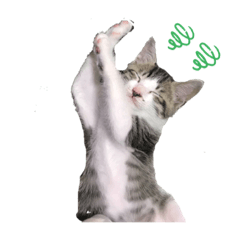 mintoooooooo