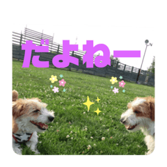 rin123_20190802190556