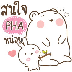 PHA Little Rabbit bully Bear e