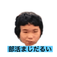 jmek1204675%