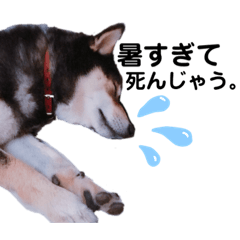 akane_20190731135629