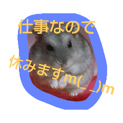 tamakichi_20190803174520