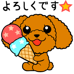Summer dog Toy Poodle