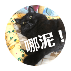 辛巴小朋友