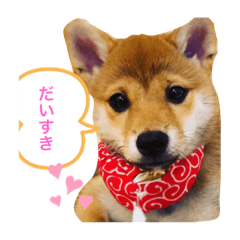 kanae_20190803174044