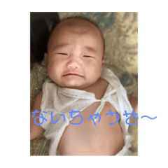 yanagi_20190804130315