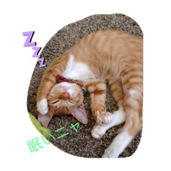 haruna_20190730210857