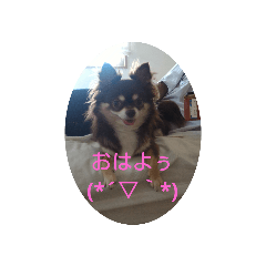 maron_20190804142245