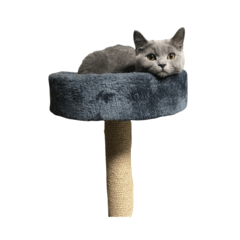 米寶寶與嚕嚕拉