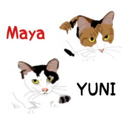 Maya and YUNI