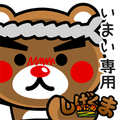 "SHIGE-KUMA2" sticker for "IMAI"