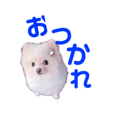 kosuke_