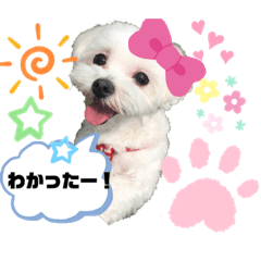 natsuki_20190804172658