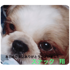 kazumi_20190730160954