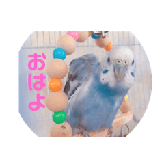 kanako_20190802214113
