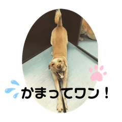 yukkomap