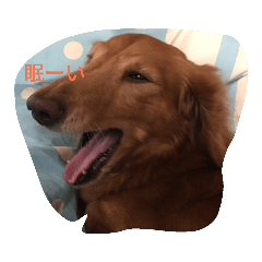 ran_20190803213829