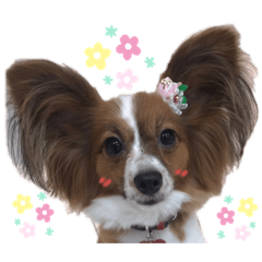 yukiko_20190803215457