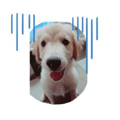 kinako_20190804105401