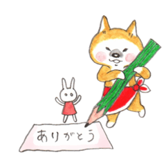 Shiba Inu.an-Chan