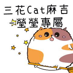 三花CAT麻吉貓-專屬瑩瑩篇