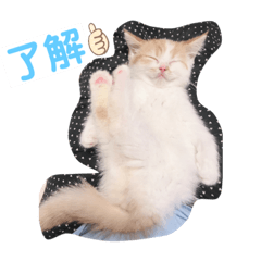 mikko_20190801213109