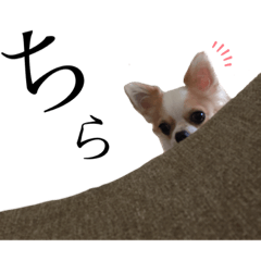 pon-kichi