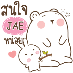 JAE Little Rabbit bully Bear e