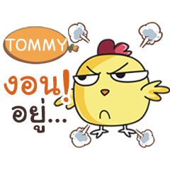 TOMMY this chicken? e