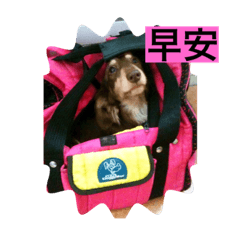 狗兒爺