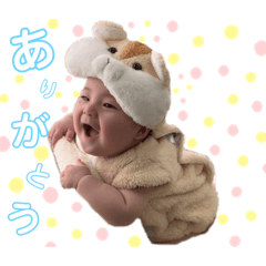 midori_20190805150519