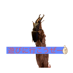 KY_20190805151725