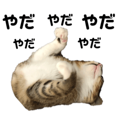 MOCHA's STAMPS(CAT)