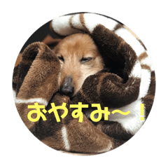 Yama_20190805132206