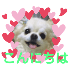 arukoha_20190805162435