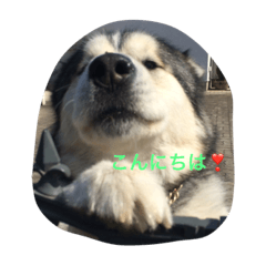 kaito_20190806004452