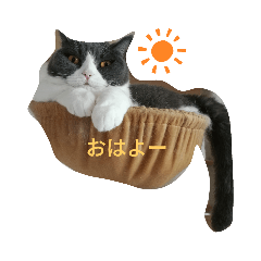 junko_20190805231837