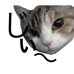 Marina_20190805194940