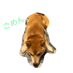 rk_20190805221531