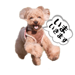 UME_201908060