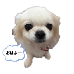 Aoi_20190805204732