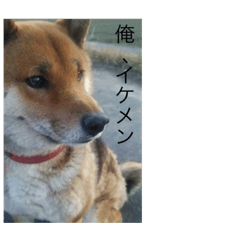 aina_20190806123033