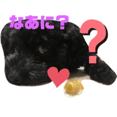kuuchanlove