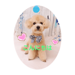 pon_20190804203823