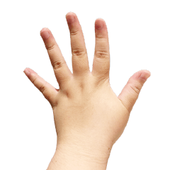 Tempura's hands